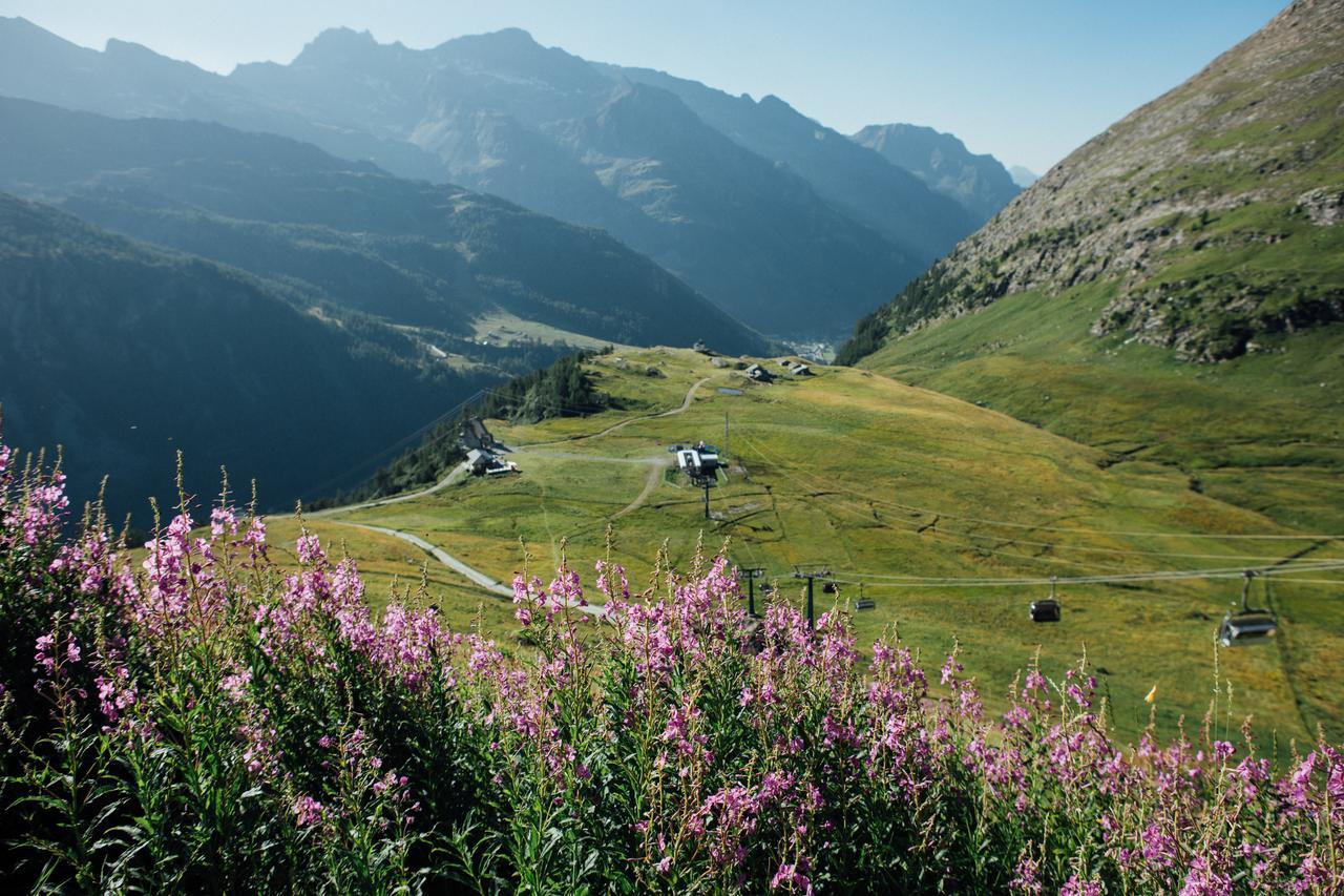 Albergo Ristoro Sitten - 2300 Mt Gressoney-La-Trinite Ngoại thất bức ảnh
